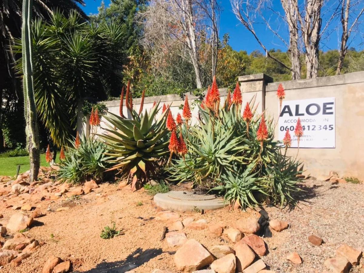 Aloe Guesthouse Klerksdorp Esterno foto