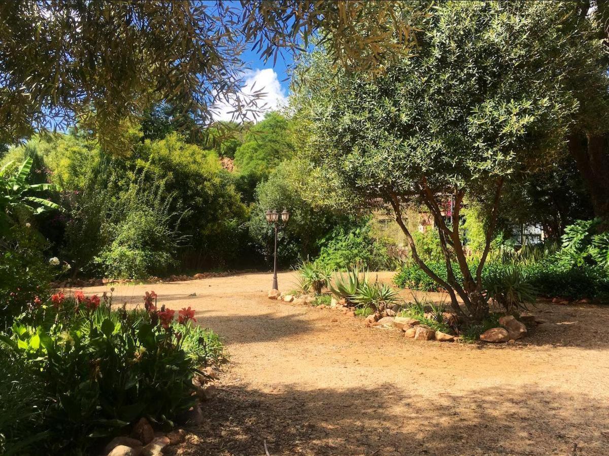 Aloe Guesthouse Klerksdorp Esterno foto